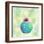 Brown Frame