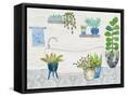Framed Canvas