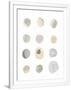 Gramercy White