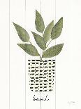 Herb Garden II-Courtney Prahl-Art Print