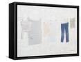 Framed Canvas