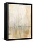 Framed Canvas
