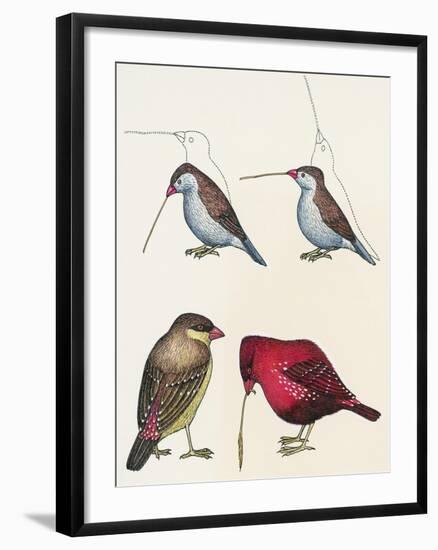 Courtship of Passerines, Drawing-null-Framed Giclee Print