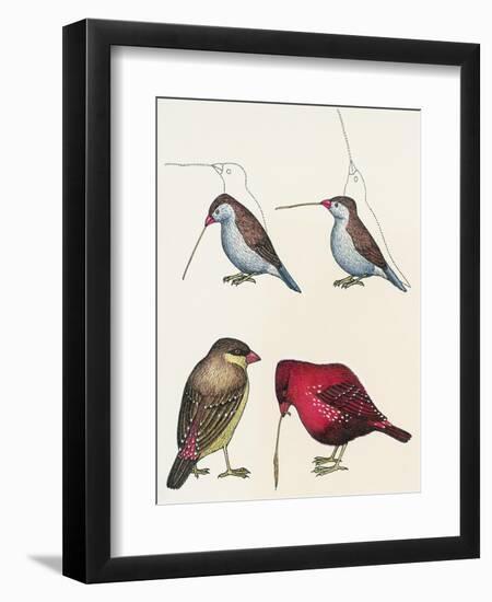 Courtship of Passerines, Drawing-null-Framed Premium Giclee Print