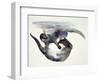 Courtship-Mark Adlington-Framed Giclee Print