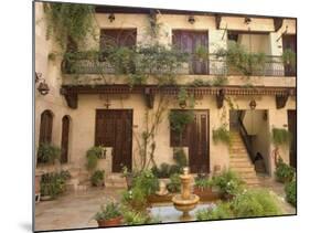 Courtyard, Beit Al-Wakil Hotel, Aleppo (Haleb), Syria, Middle East-Christian Kober-Mounted Photographic Print