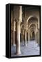 Courtyard Gallery, Mosque of Uqba-null-Framed Stretched Canvas