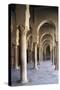 Courtyard Gallery, Mosque of Uqba-null-Stretched Canvas