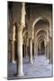 Courtyard Gallery, Mosque of Uqba-null-Mounted Giclee Print