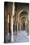 Courtyard Gallery, Mosque of Uqba-null-Stretched Canvas