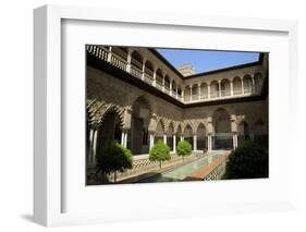 Courtyard Garden, Alcazar, UNESCO World Heritage Site, Seville, Andalucia, Spain, Europe-Peter Barritt-Framed Photographic Print