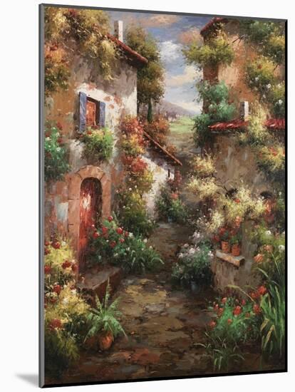 Courtyard Garden-Mauro-Mounted Art Print