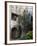 Courtyard in Back Alleyway of Old Town, Cres Town, Cres Island, Kvarner Gulf, Croatia, Europe-Stuart Black-Framed Photographic Print