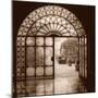 Courtyard in Venezia (sepia)-Alan Blaustein-Mounted Photographic Print