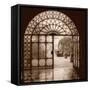 Courtyard in Venezia (sepia)-Alan Blaustein-Framed Stretched Canvas