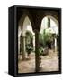 Courtyard of a Traditional House, Carmona, Andalucia, Spain-Sheila Terry-Framed Stretched Canvas