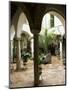 Courtyard of a Traditional House, Carmona, Andalucia, Spain-Sheila Terry-Mounted Photographic Print