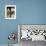 Courtyard of a Traditional House, Carmona, Andalucia, Spain-Sheila Terry-Framed Photographic Print displayed on a wall