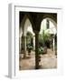 Courtyard of a Traditional House, Carmona, Andalucia, Spain-Sheila Terry-Framed Photographic Print