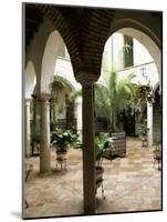 Courtyard of a Traditional House, Carmona, Andalucia, Spain-Sheila Terry-Mounted Photographic Print
