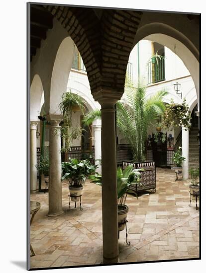 Courtyard of a Traditional House, Carmona, Andalucia, Spain-Sheila Terry-Mounted Photographic Print