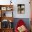 Courtyard of a Traditional House, Carmona, Andalucia, Spain-Sheila Terry-Mounted Photographic Print displayed on a wall