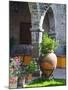 Courtyard of A Villa in San Miguel, San Miguel De Allende, Guanajuato State, Mexico-Julie Eggers-Mounted Photographic Print