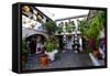 Courtyard of Casa Patio, Cordoba, Andalucia, Spain-Carlo Morucchio-Framed Stretched Canvas