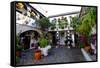 Courtyard of Casa Patio, Cordoba, Andalucia, Spain-Carlo Morucchio-Framed Stretched Canvas