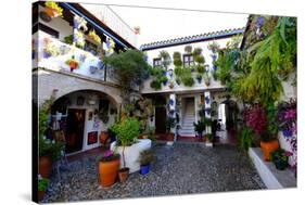 Courtyard of Casa Patio, Cordoba, Andalucia, Spain-Carlo Morucchio-Stretched Canvas