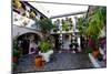 Courtyard of Casa Patio, Cordoba, Andalucia, Spain-Carlo Morucchio-Mounted Photographic Print