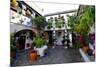 Courtyard of Casa Patio, Cordoba, Andalucia, Spain-Carlo Morucchio-Mounted Photographic Print