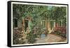 Courtyard of Little Theatre, New Orleans, Louisiana-null-Framed Stretched Canvas