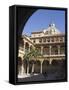 Courtyard of the Hospital of San Juan De Dios, Granada, Andalucia, Spain-Sheila Terry-Framed Stretched Canvas
