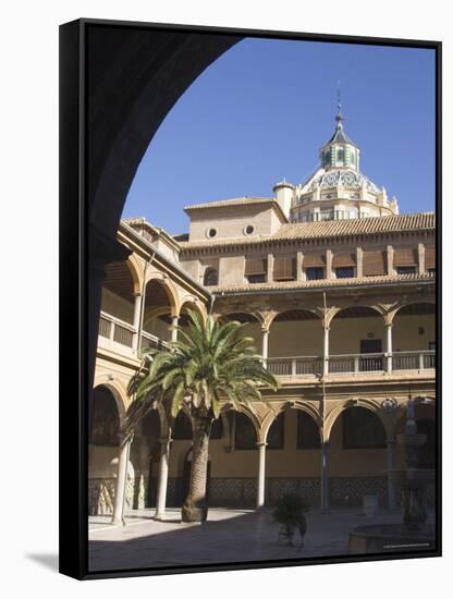 Courtyard of the Hospital of San Juan De Dios, Granada, Andalucia, Spain-Sheila Terry-Framed Stretched Canvas