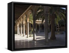 Courtyard of the Hospital of San Juan De Dios, Granada, Andalucia, Spain-Sheila Terry-Framed Stretched Canvas