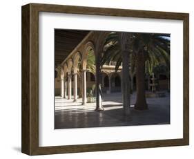 Courtyard of the Hospital of San Juan De Dios, Granada, Andalucia, Spain-Sheila Terry-Framed Photographic Print