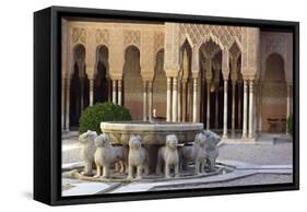 Courtyard of the Lions in the Alhambra, a Medieval Moorish City, Granada, Spain-null-Framed Stretched Canvas