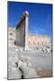 Courtyard of the Temple of Bel, Palmyra, Syria-Vivienne Sharp-Mounted Photographic Print