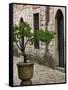 Courtyard of Topkapi Palace, Istanbul, Turkey-Joe Restuccia III-Framed Stretched Canvas