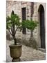 Courtyard of Topkapi Palace, Istanbul, Turkey-Joe Restuccia III-Mounted Photographic Print