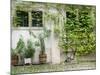 Courtyard off Psoriases, Graz, Styria, Austria-Walter Bibikow-Mounted Photographic Print