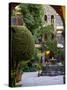 Courtyard, San Miguel De Allende, Mexico-Alice Garland-Stretched Canvas