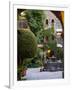 Courtyard, San Miguel De Allende, Mexico-Alice Garland-Framed Premium Photographic Print