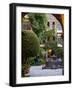 Courtyard, San Miguel De Allende, Mexico-Alice Garland-Framed Photographic Print