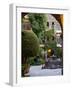 Courtyard, San Miguel De Allende, Mexico-Alice Garland-Framed Photographic Print