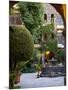 Courtyard, San Miguel De Allende, Mexico-Alice Garland-Mounted Photographic Print