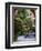 Courtyard, San Miguel De Allende, Mexico-Alice Garland-Framed Photographic Print