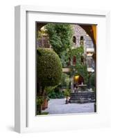 Courtyard, San Miguel De Allende, Mexico-Alice Garland-Framed Photographic Print