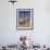 Courtyard with Fountains and Minaret Beyond, Jami'A Zaqarieh Grand Mosque, Aleppo, Syria-Eitan Simanor-Framed Photographic Print displayed on a wall